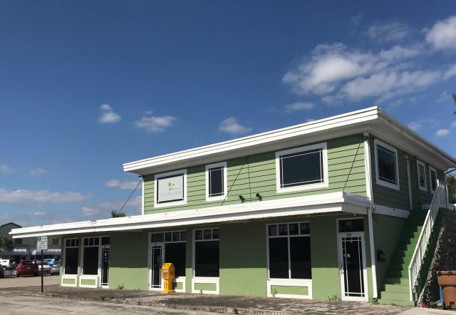 Mixed Use Foreclosure for Sale