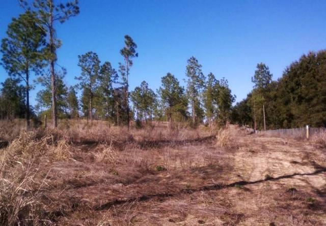 High hill vistas 20ac