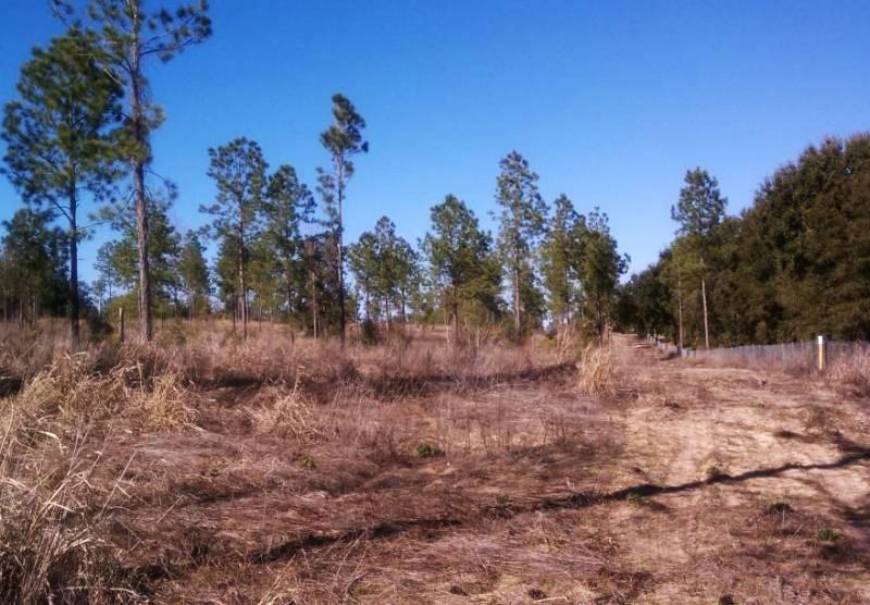 High hill vistas 20ac
