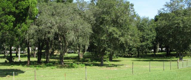 29 Acres for Infill Development
