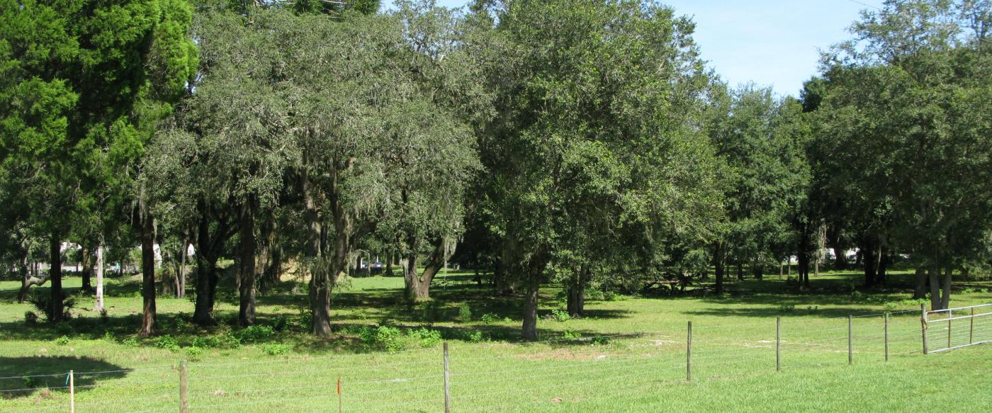 29 Acres for Infill Development