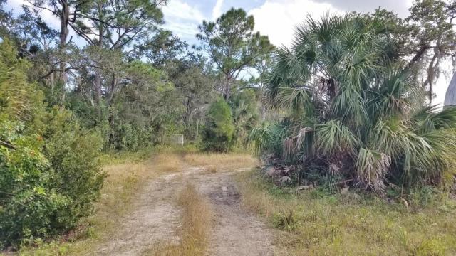 25 Acres in Merritt Island