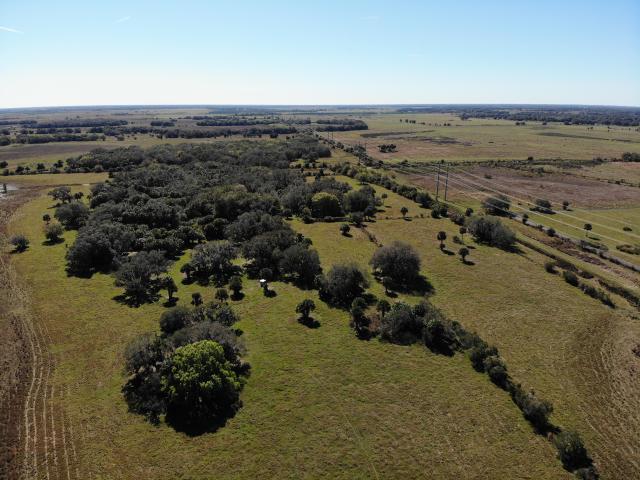320 Acres! Senate Street