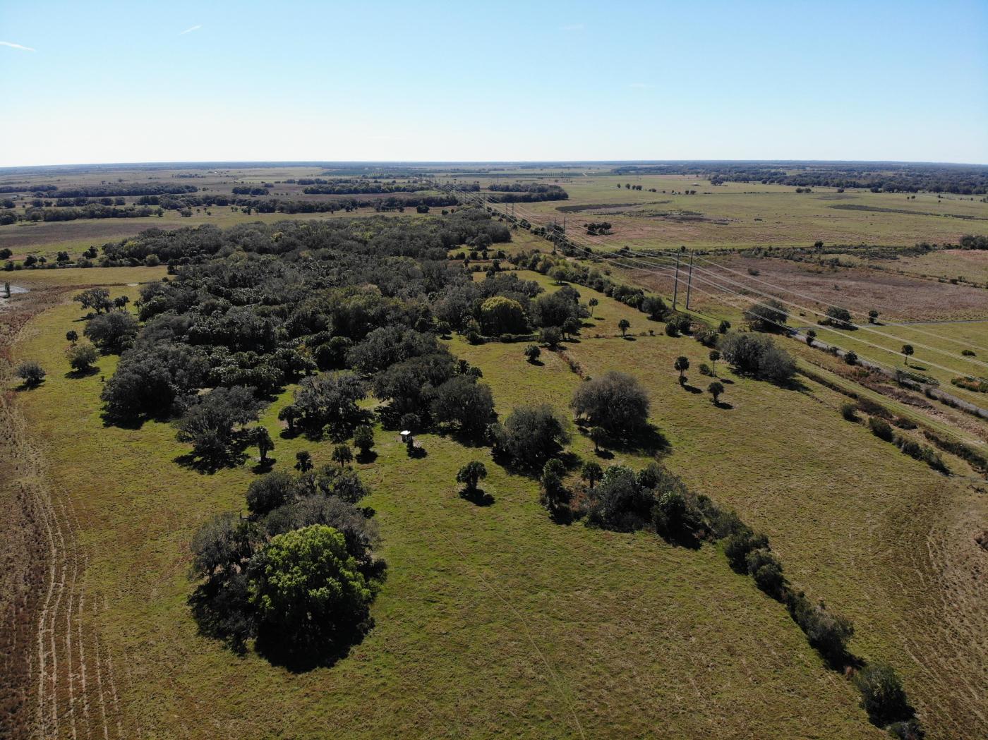 320 Acres! Senate Street