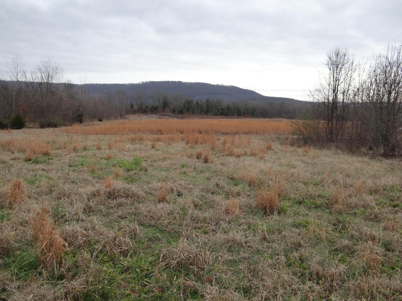 Land on Hobbs Island Road