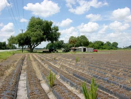 Hillsborough-Polk County Industrial Acreage