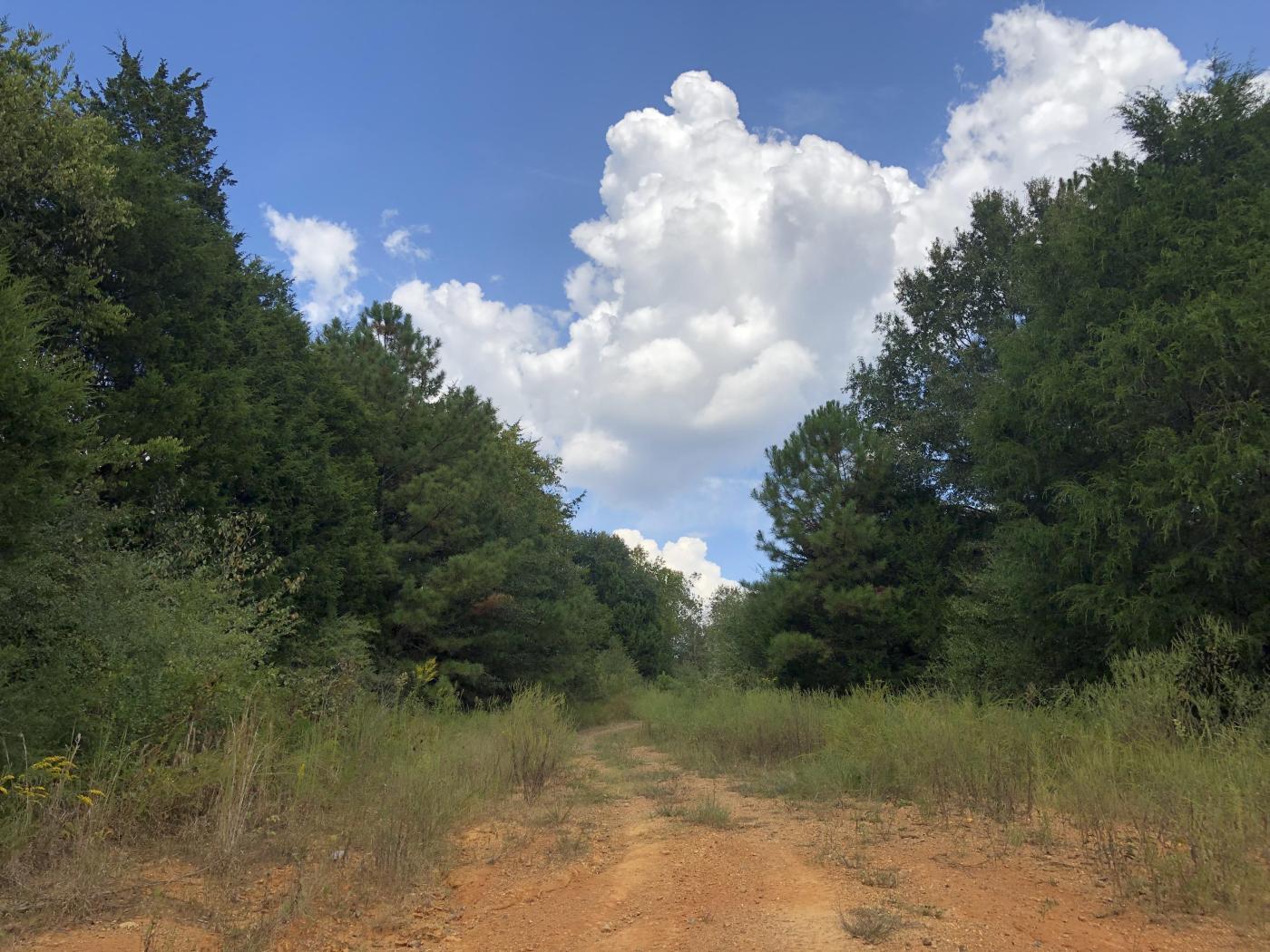 97.52+- Wooded Acres Bartow County