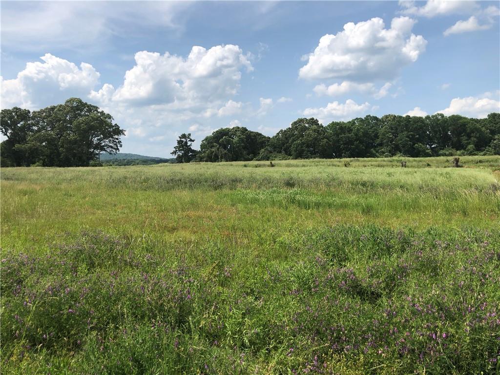 Commercial Lot 8.16+-Acres Bartow County