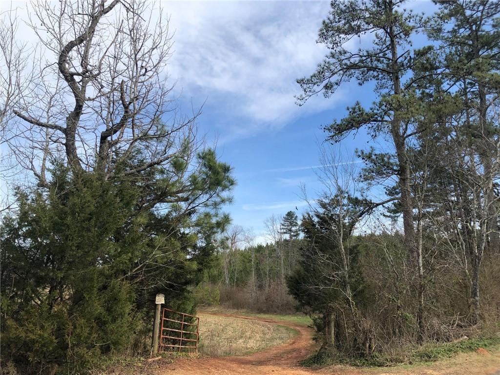 250+/- Acres Taylorsville-Bartow County
