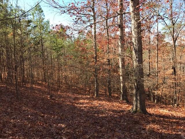 Lot 4, 5.002 +/- Acres, Small Subdivision
