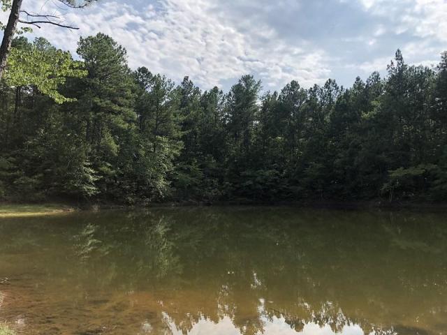 124.246+/- Acres Bartow County