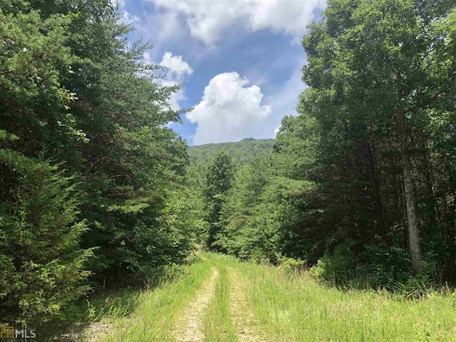 244.32 +/- Wooded Acres, Dade County