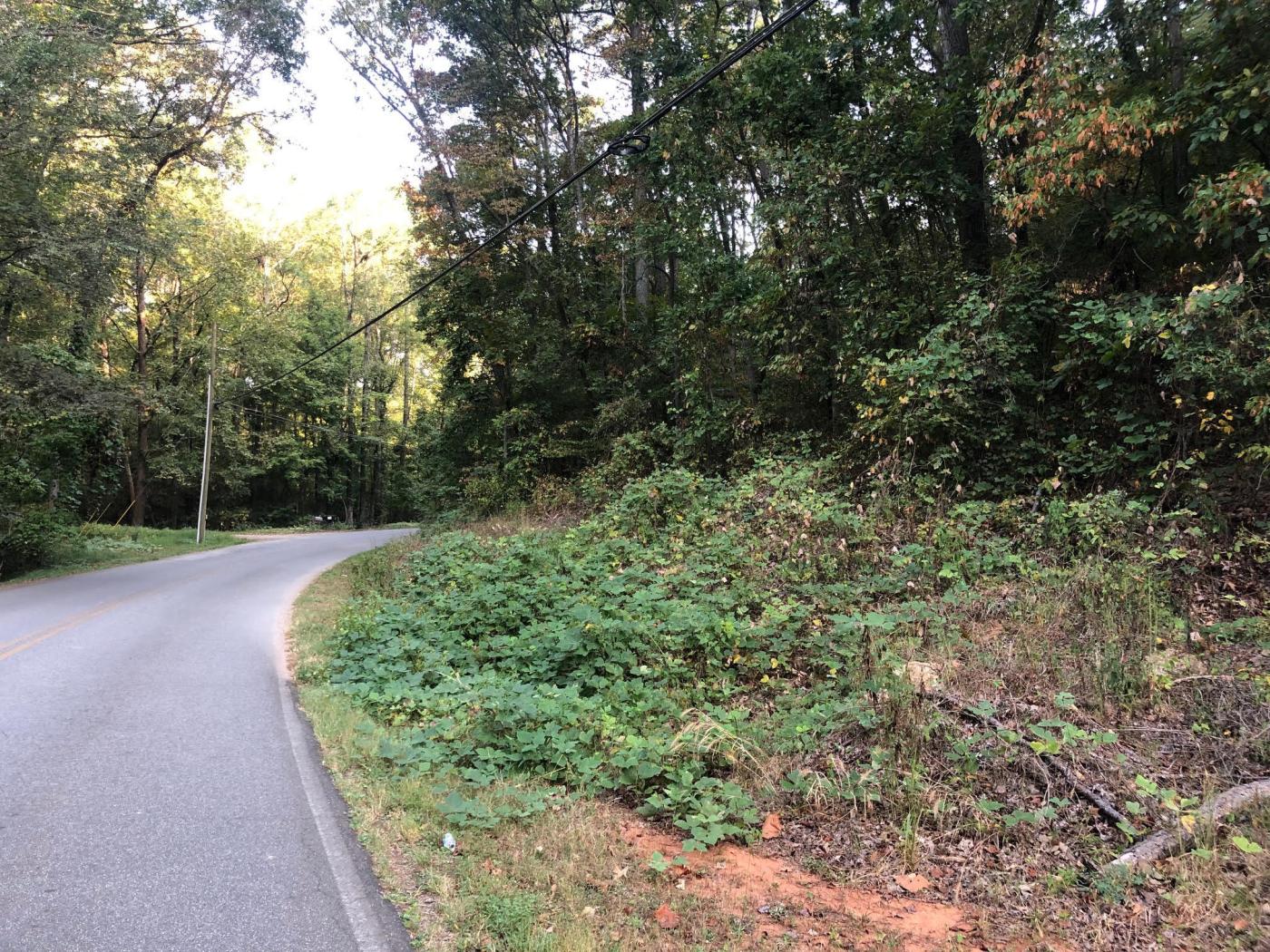 4.93+- Acres Wooded Homesite South Bartow Co.