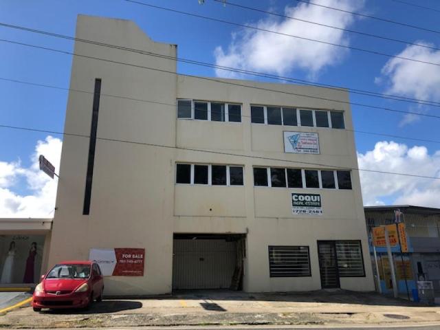 Camino Alejandrino - Guaynabo