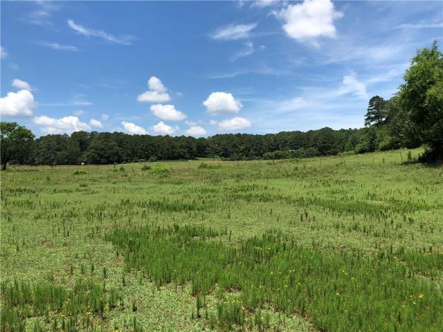 21.01+/- Acres Pumkinvine Creek Frontage