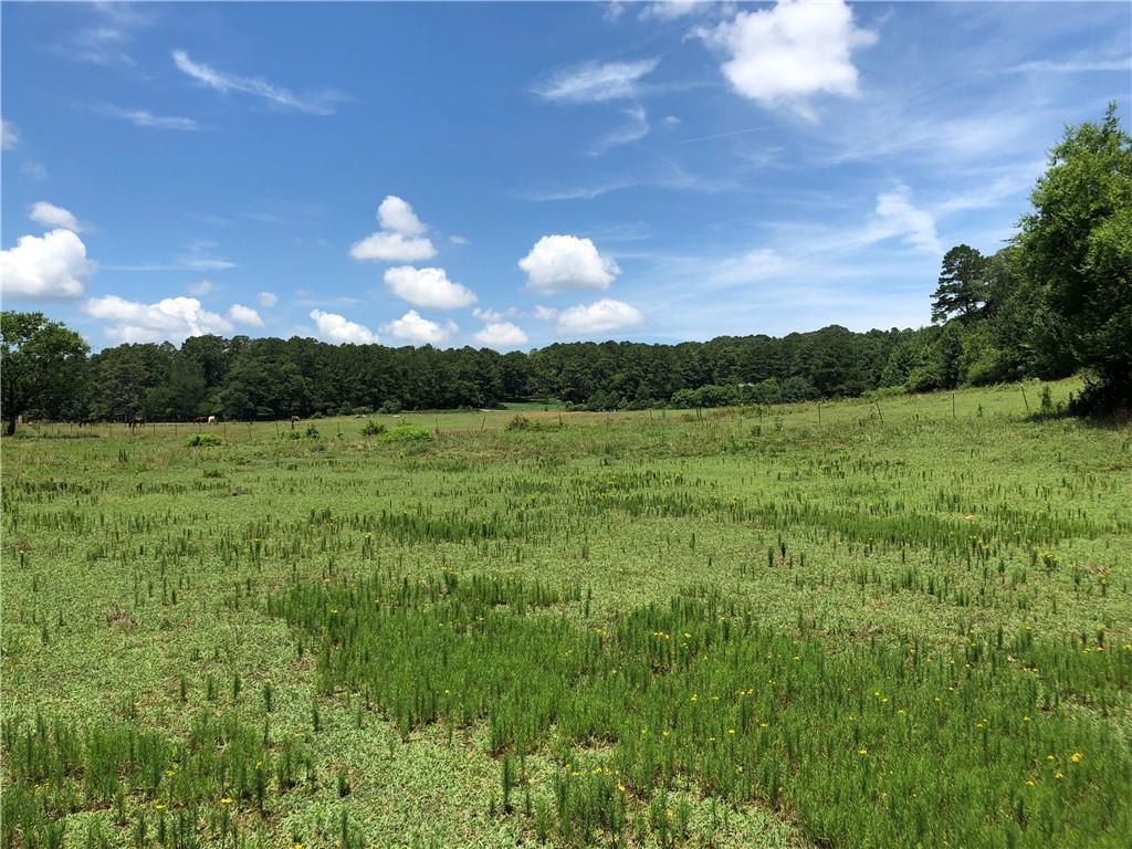 21.01+/- Acres Pumkinvine Creek Frontage
