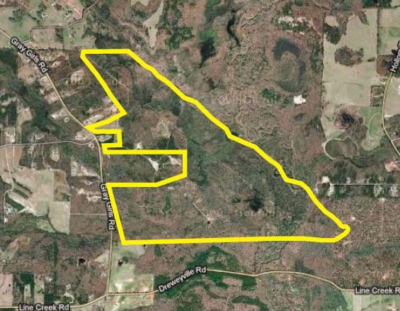 558 ac in Coweta Co - Bank Owned