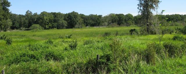 13.14 Acres for Mixed Use Development on CR 3