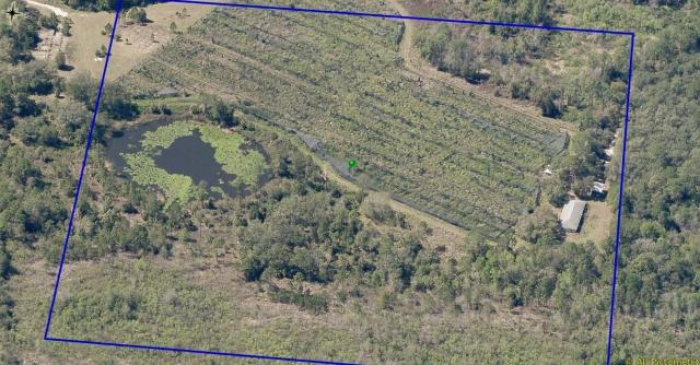 Retired Nursery- 70 Acres in Umatilla FL