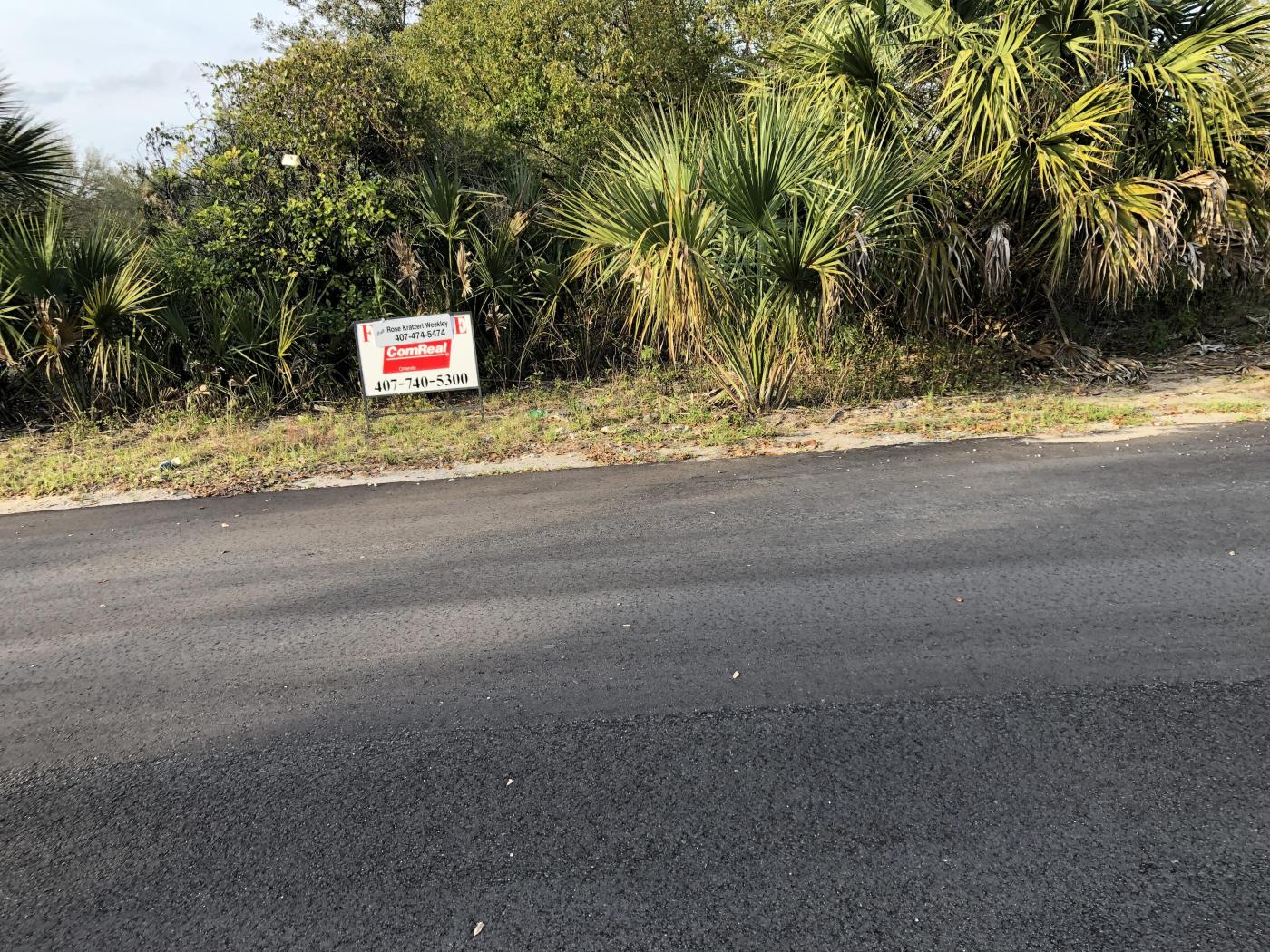 Vacant Land Opportunity