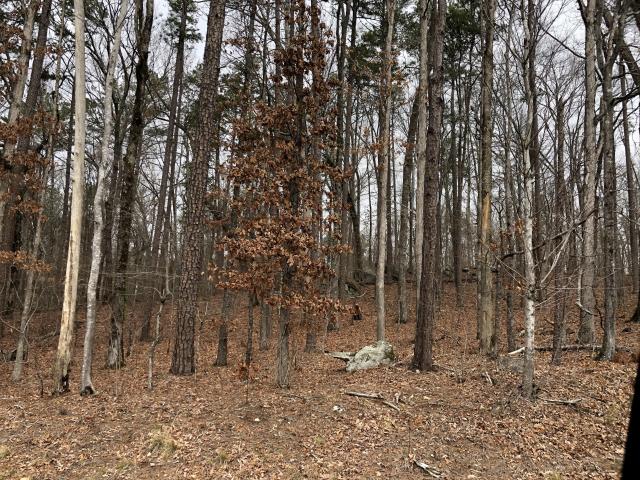 11.917+/- Wooded Acres Zoned R-2 Paulding Co