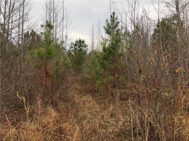 77.75 +/- Acres, Great Recreational Tract
