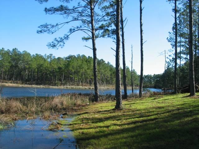 Stage Rd 29 Acres/7Acre Lake