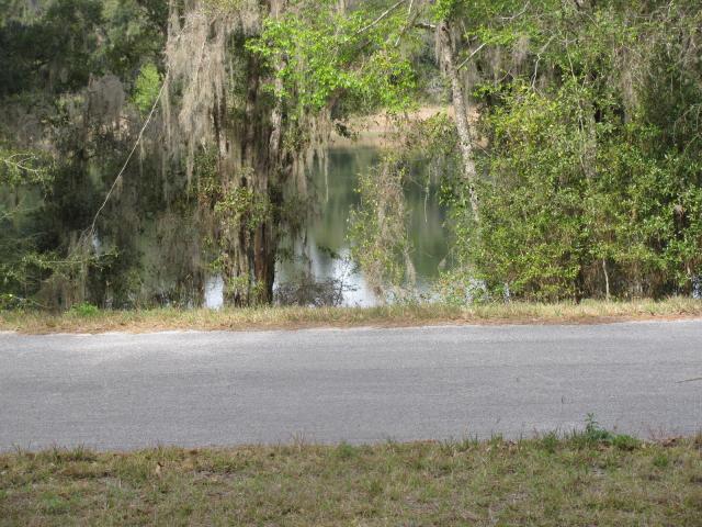 0.23 Acre Lot in Ocklawaha