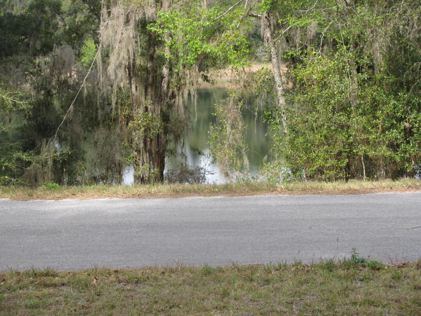 0.23 Acre Lot in Ocklawaha