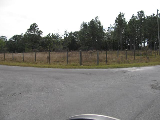 0.26 Acre Lot in Ocklawaha