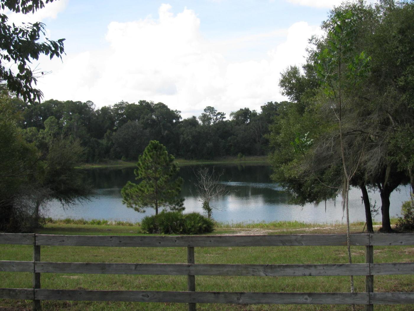 0.73 Acres in Ocklawaha