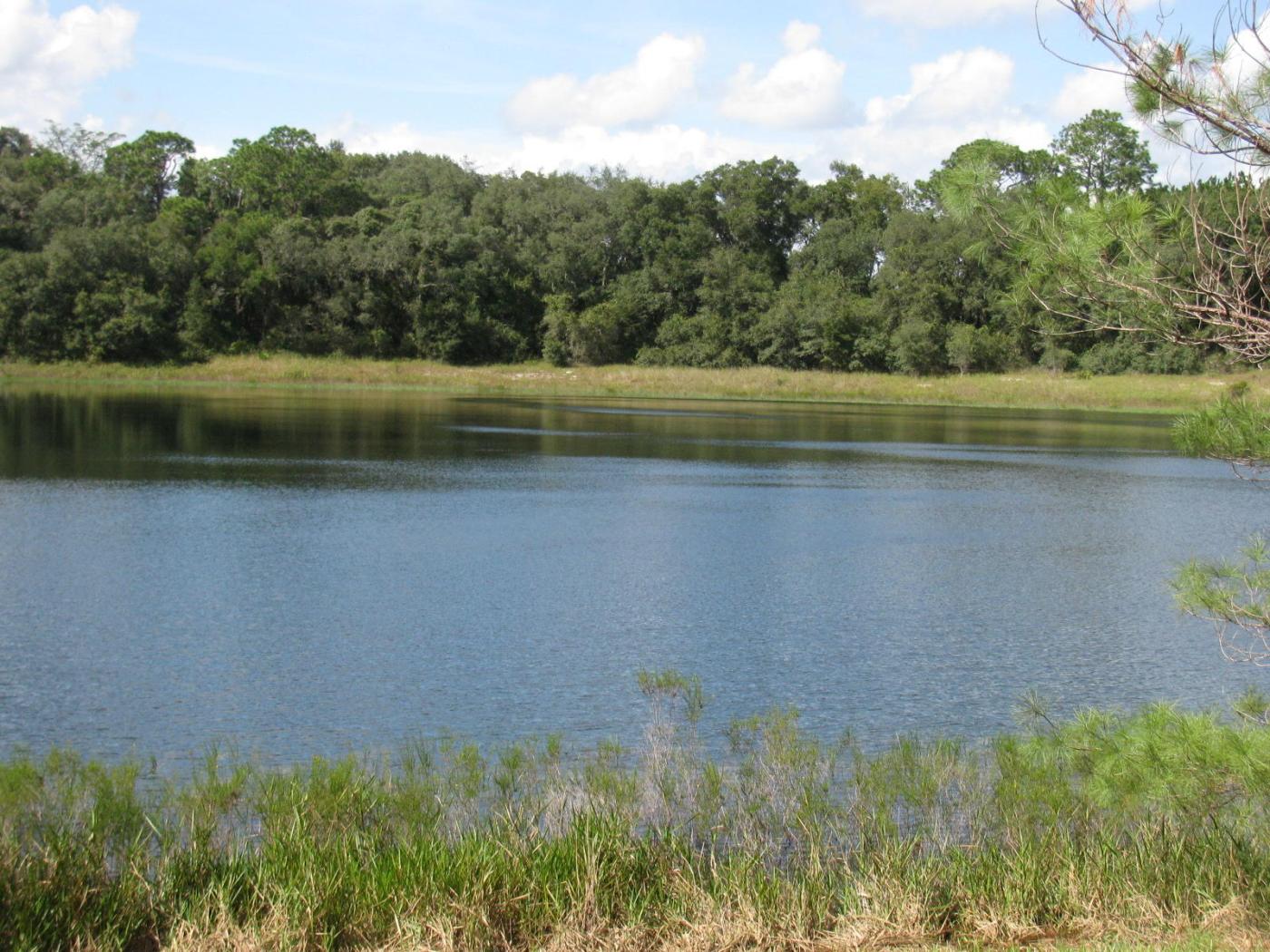 0.37 Acres in Ocklawaha