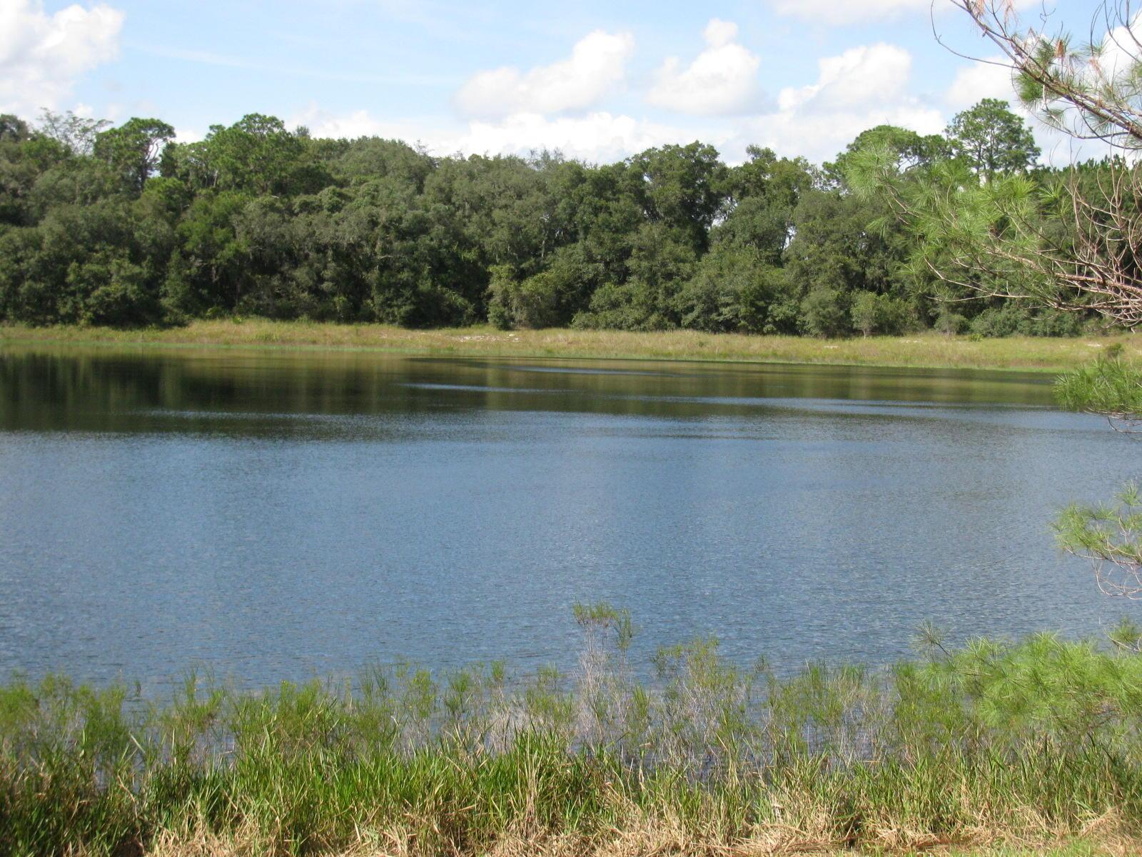 0.37 Acres in Ocklawaha
