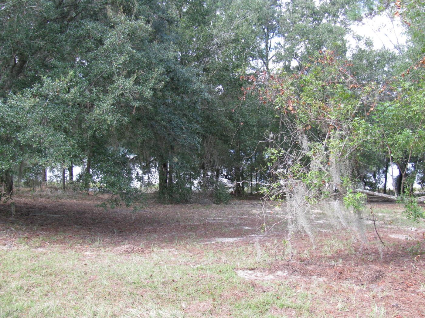 0.37 acres on Malauka Loop