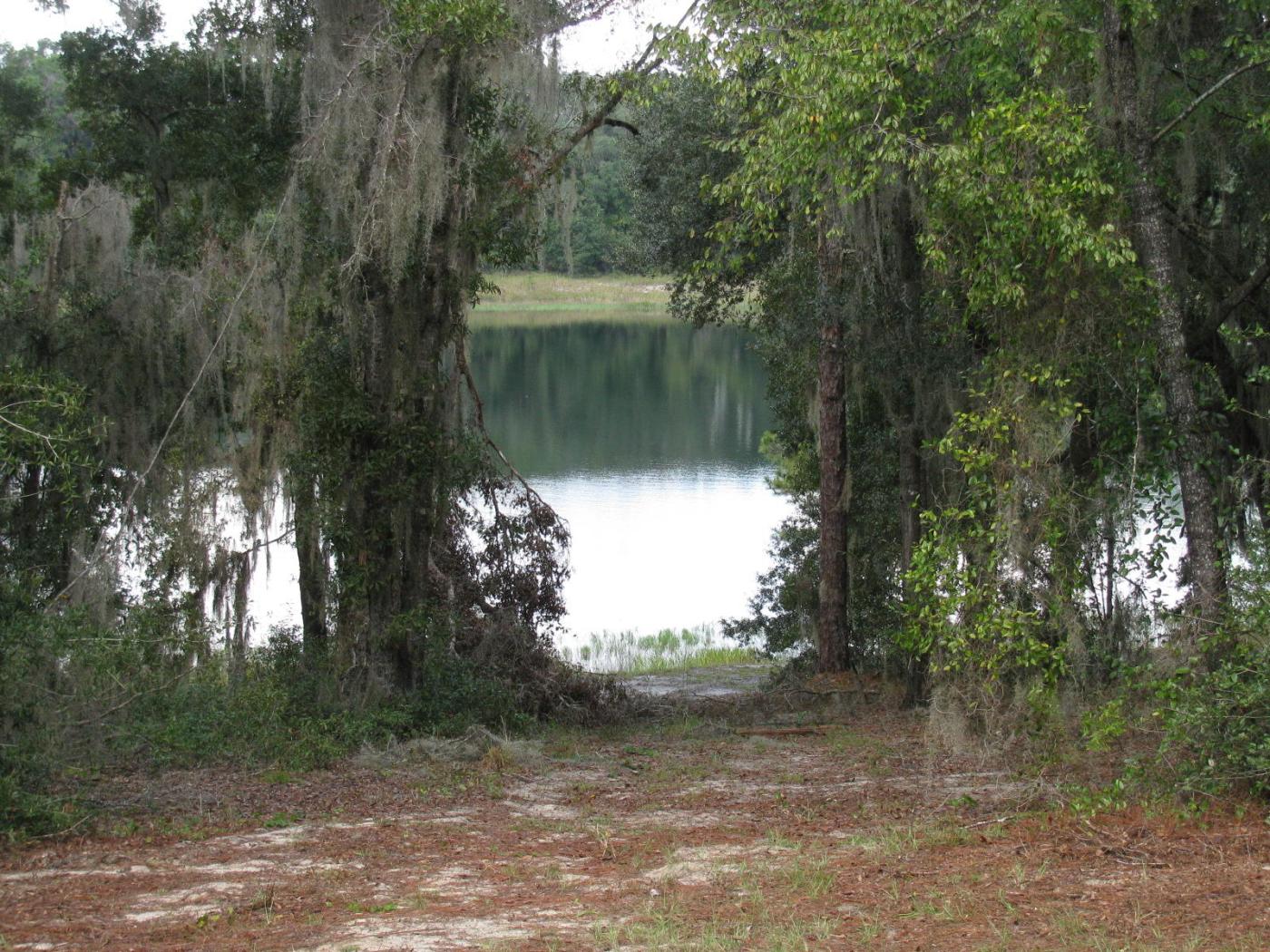 0.36 Acres in Ocklawaha
