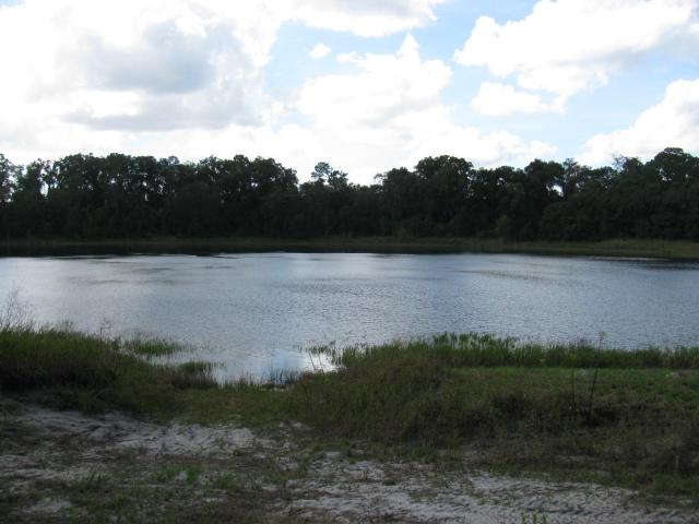 0.36 Acre lot in Ocklawaha