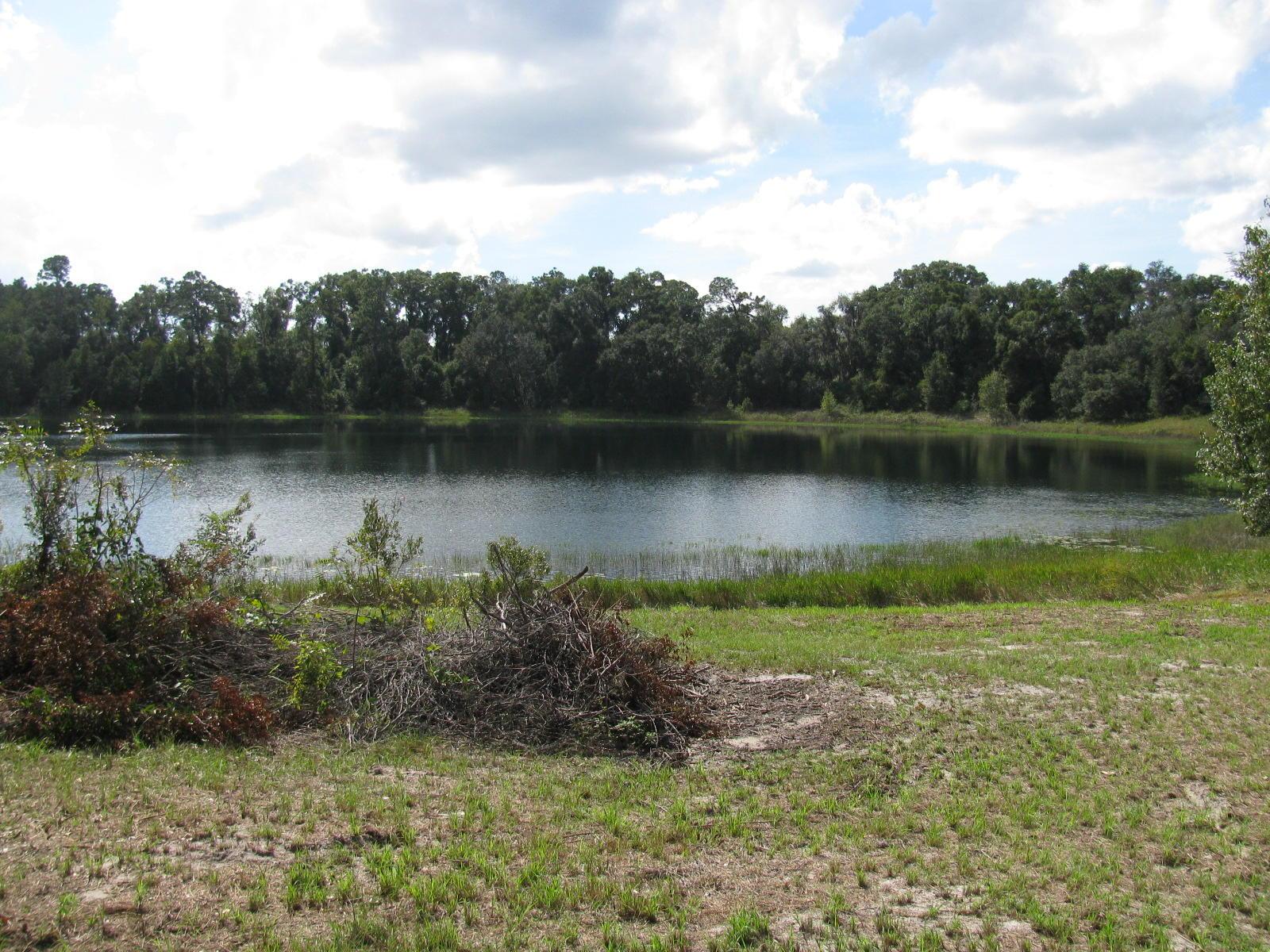 0.38 Acres in Ocklawaha