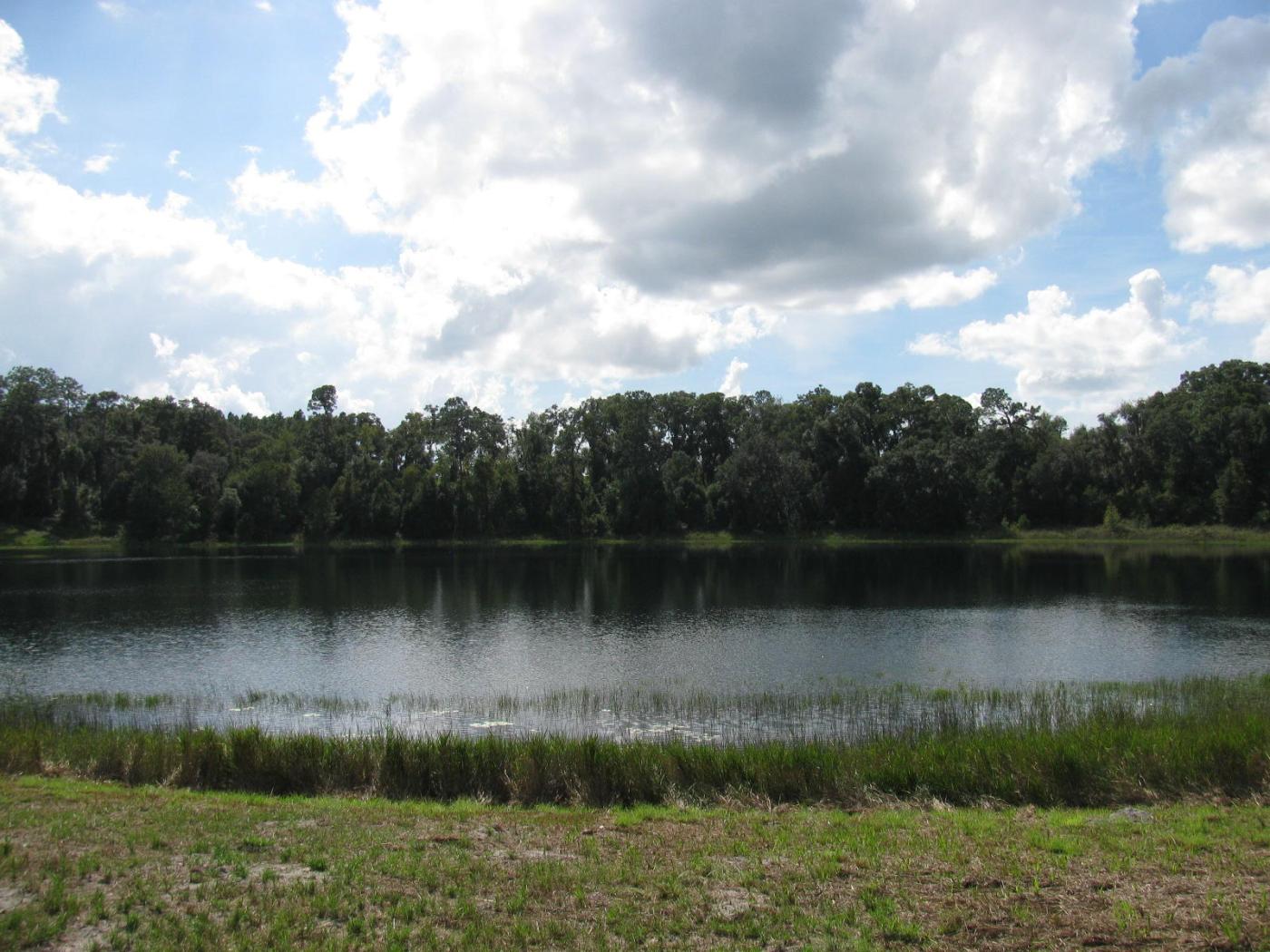 0.38 Acres in Ocklawaha