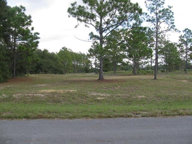 0.23 Acres in Ocklawaha