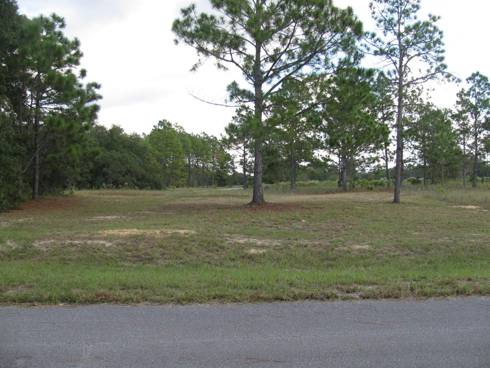 0.23 Acres in Ocklawaha