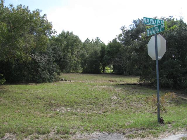 .33 Acres in Ocklawaha