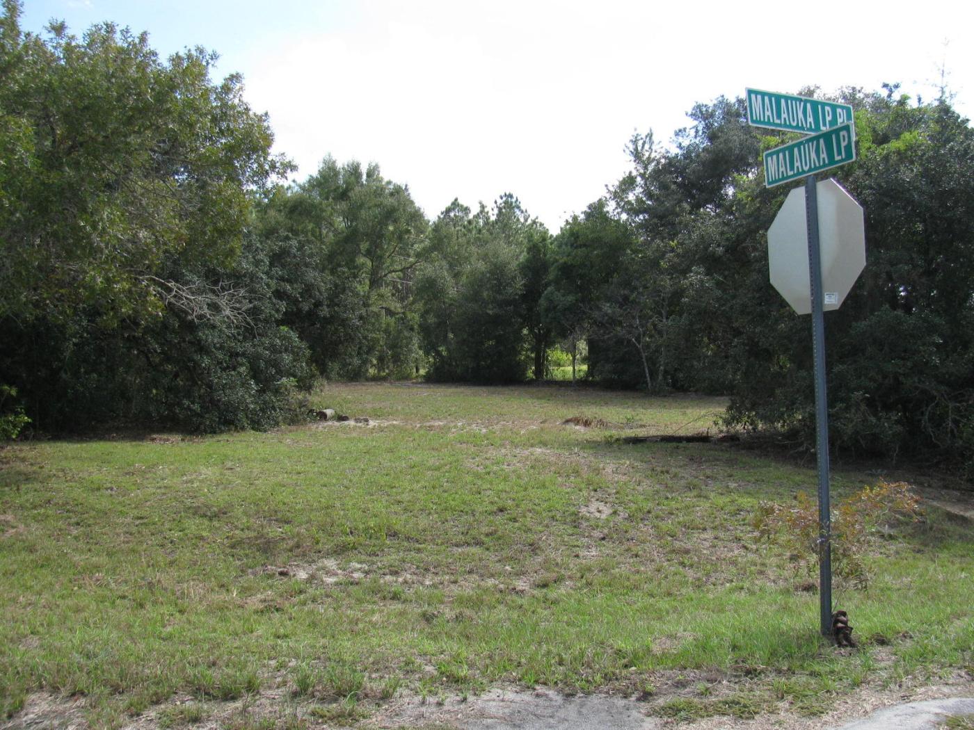 .33 Acres in Ocklawaha