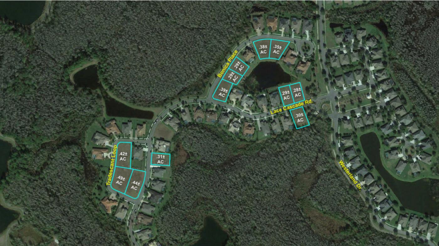 10 Lots Sold in Bulk or Separately