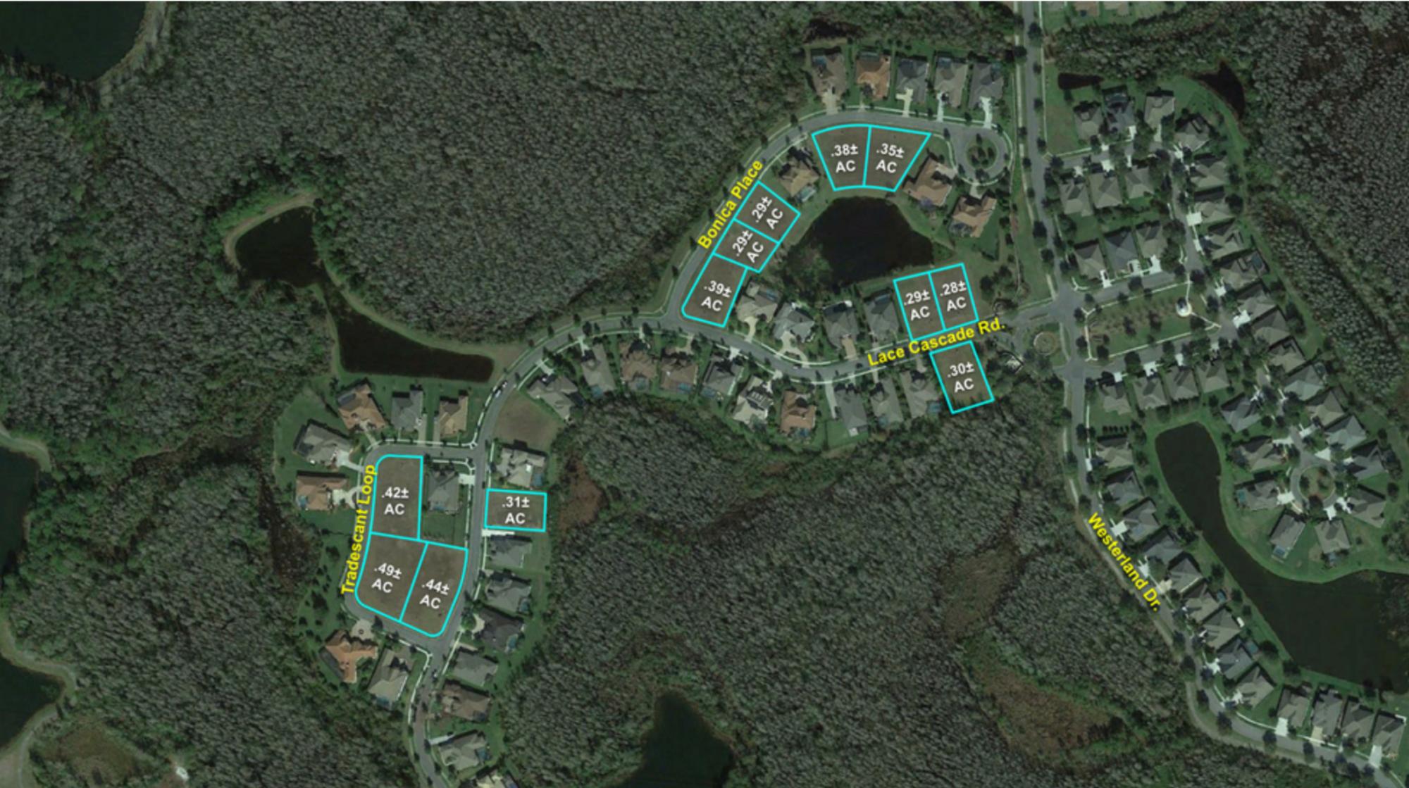 10 Lots Sold in Bulk or Separately
