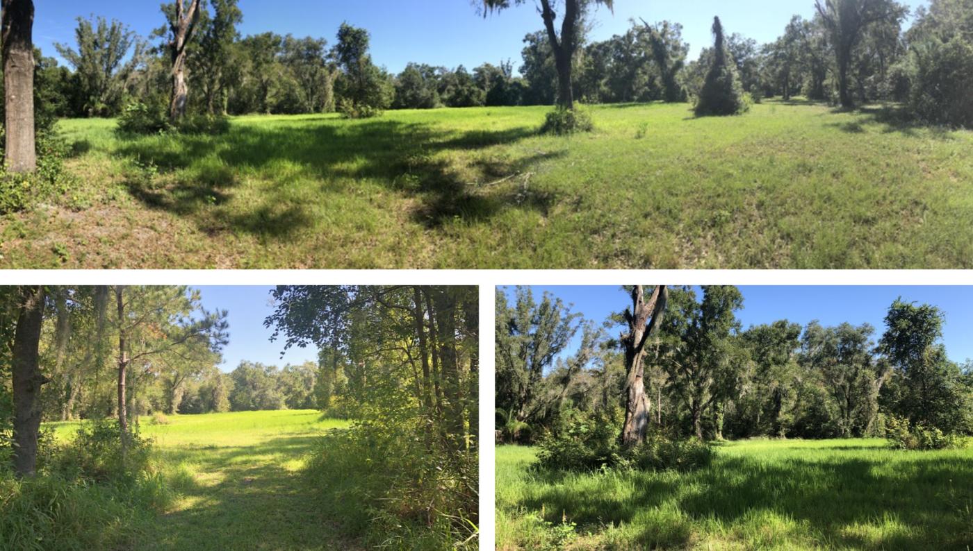 5.67+- ac Zoned AG/Possibly 2 SF Lots