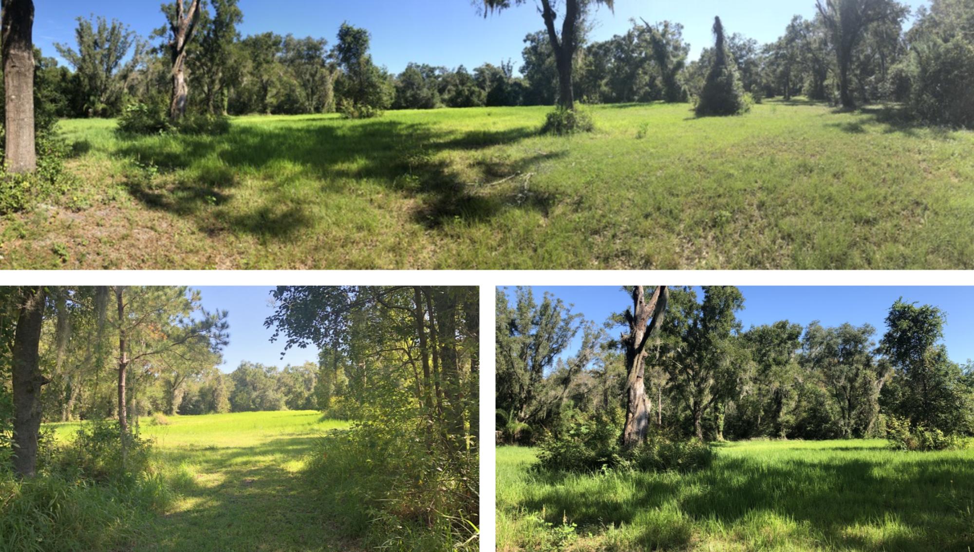 5.67+- ac Zoned AG/Possibly 2 SF Lots