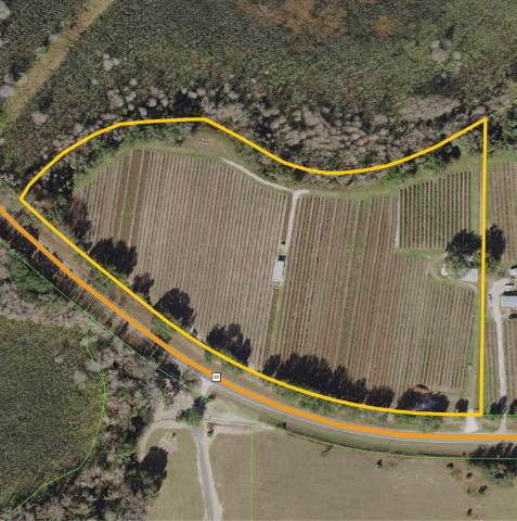 11.3 acre Certified Organic Blueberry Farm