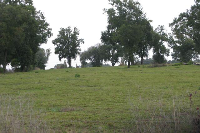 9.97 Acres for Res 3 Development Zephyrhills