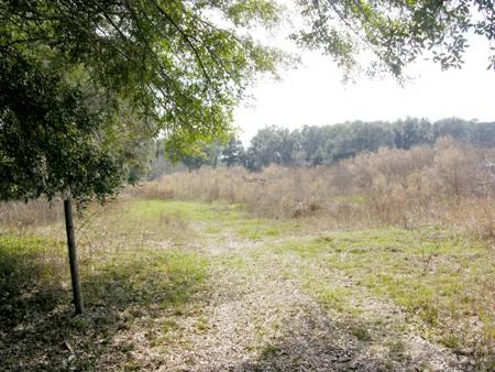 Owens Pond Acreage
