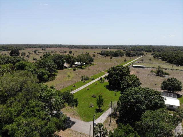 Horse and Cattle Ranch, Ft. Myers, Florida!